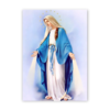 Quadro com moldura tradicional Virgem Maria 10