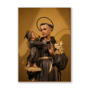 Placa decorativa São Francisco de Assis 6