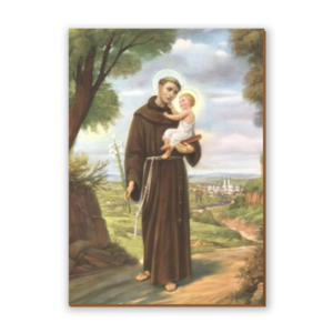 Placa decorativa Santo Antônio 6