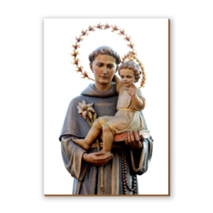 Placa decorativa Santo Antônio 8